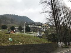 -四川省成都市彭州市白鹿镇