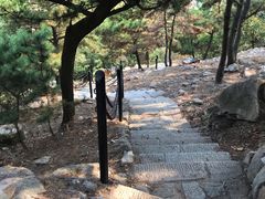 -石老人观光园