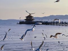 -栈桥景区