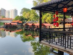 -侨美·唐荔园·40年地道粤菜