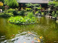 -白家大院·王府宫廷菜(苏州街店)