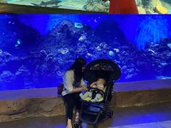 -华夏文旅海洋公园