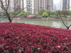 -苏州河梦清园环保主题公园