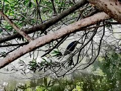 -苏州河梦清园环保主题公园