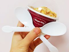 -哈根达斯(石家庄北国店)