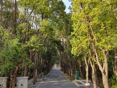 -同里国家湿地公园