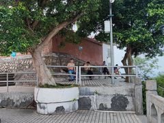 -板樟山森林公园