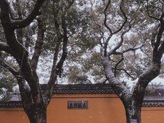 -西园戒幢律寺