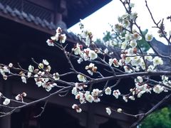 -钱王祠