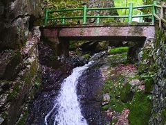 -藏龙百瀑风景区