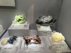 -湖南省地质博物馆