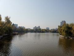 -迎泽公园