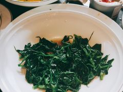 豌豆尖-甄御•海鲜新青岛菜(麦岛店)