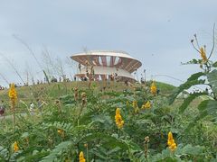 -光明小镇欢乐田园