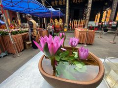 -三哥田螺(北书院街店)
