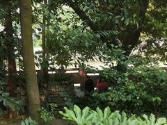 -成都市活水公园