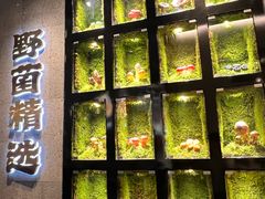 -野·大山里野生菌石锅土鸡(益田假日店)
