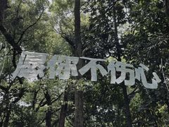 -杭州植物园
