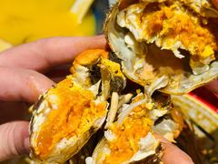 -朱胖子蟹行大闸蟹(定安里店)