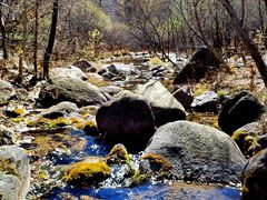 -玉渡山自然风景区