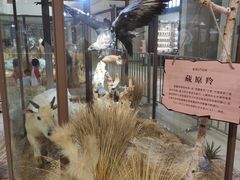 -龙湖西安曲江天街