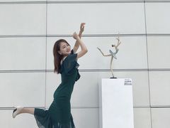-凤凰中心