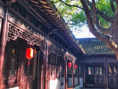 -上海醉白池公园