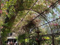 -The Grounds of Alexandria