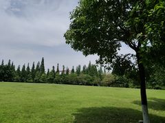 -成都南湖公园