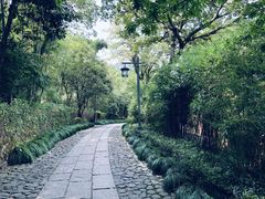 -法云安缦酒店