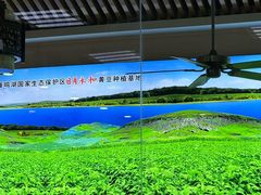 -日月永和中国餐饮名店(东湖店)