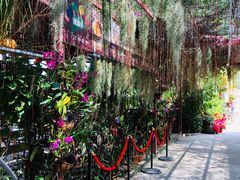-万兴启丰椰子文化园餐厅