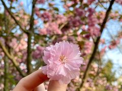 -贮水山儿童公园