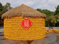 -黑龙江省森林植物园