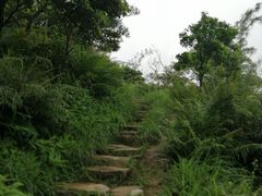 -凤凰山