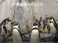 -太平洋海底世界