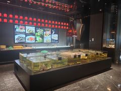 -张生记(双菱店)