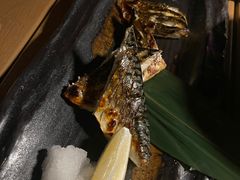 -Hatsune隐泉日式料理(三里屯太古里店)