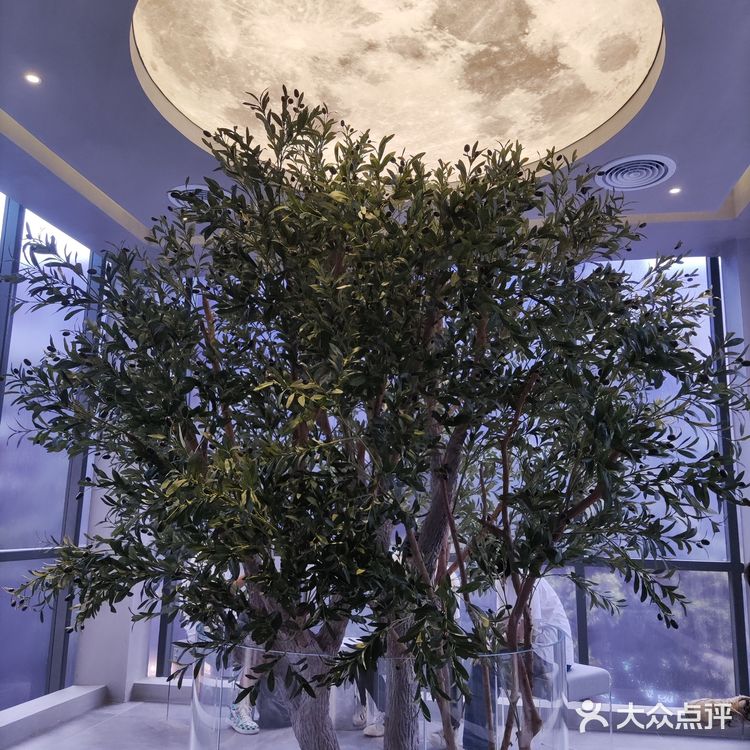 新晋网红拍照地[调皮]这家奶茶我爱