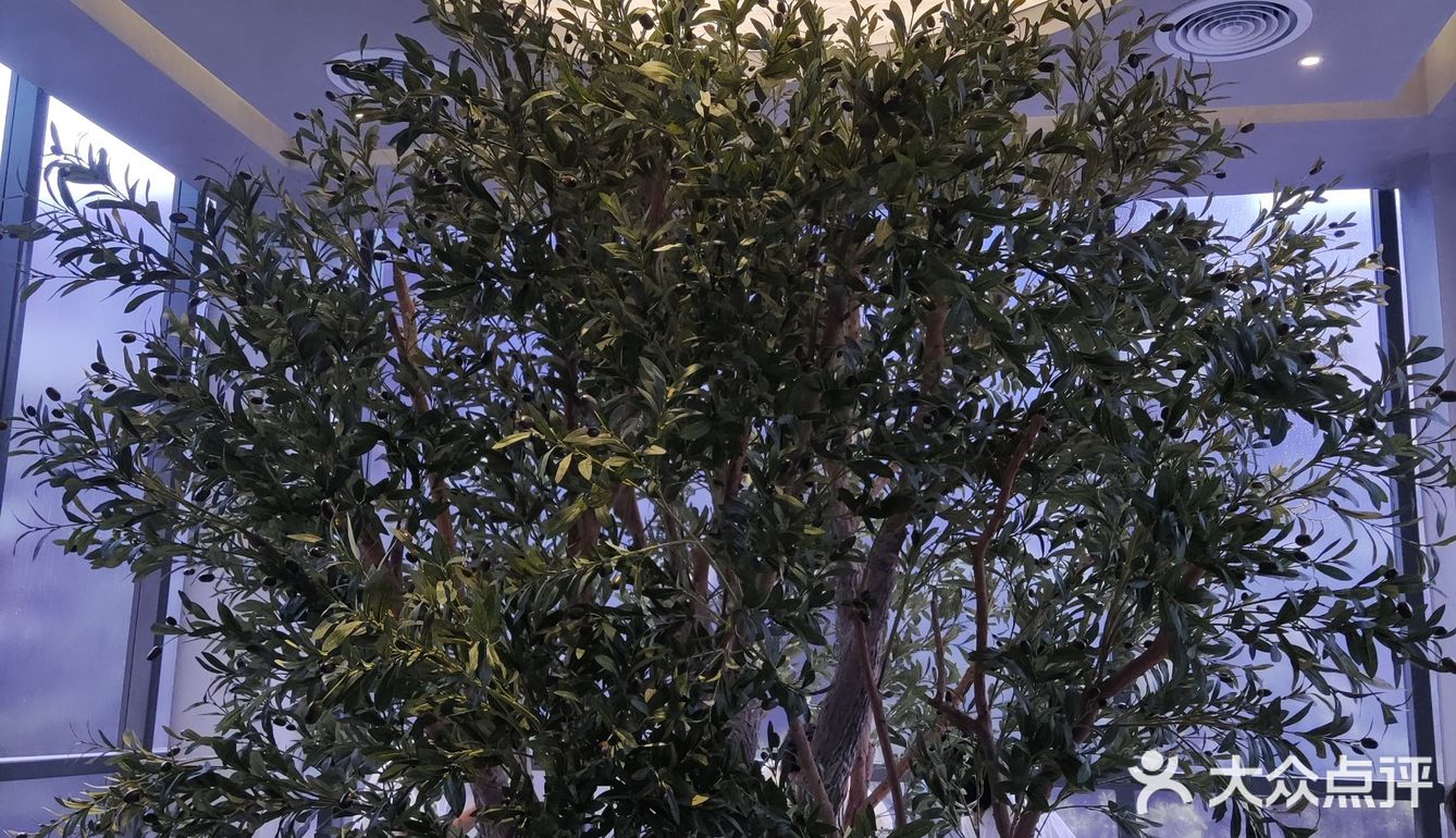 新晋网红拍照地[调皮]这家奶茶我爱