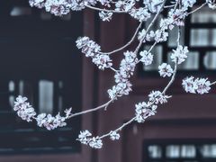 -北海公园
