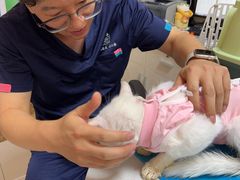 -美联众合24小时·皮肤科·外科·全科诊疗中心(华苑分院)