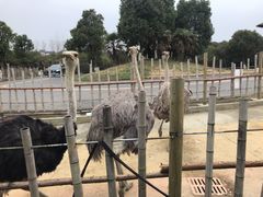 -常州淹城野生动物世界