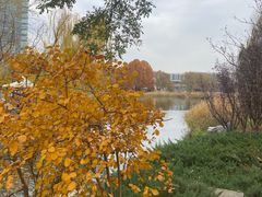 -大兴滨河森林公园