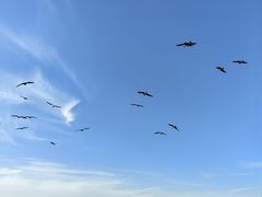 -大连海昌东方水城