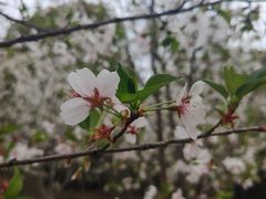 -南山风景名胜区