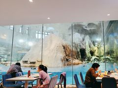 -帝企鹅自助餐厅•儿童岛•真企鹅(长隆企鹅酒店)