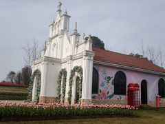 -杭州湾海上花田景区