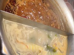 -九鼎轩脆毛肚火锅(三钢里店)