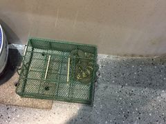 -醉湘厨艺(才华街店)